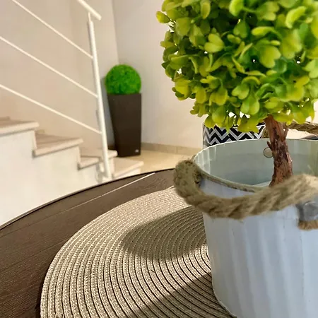 Appartement Maggio House *